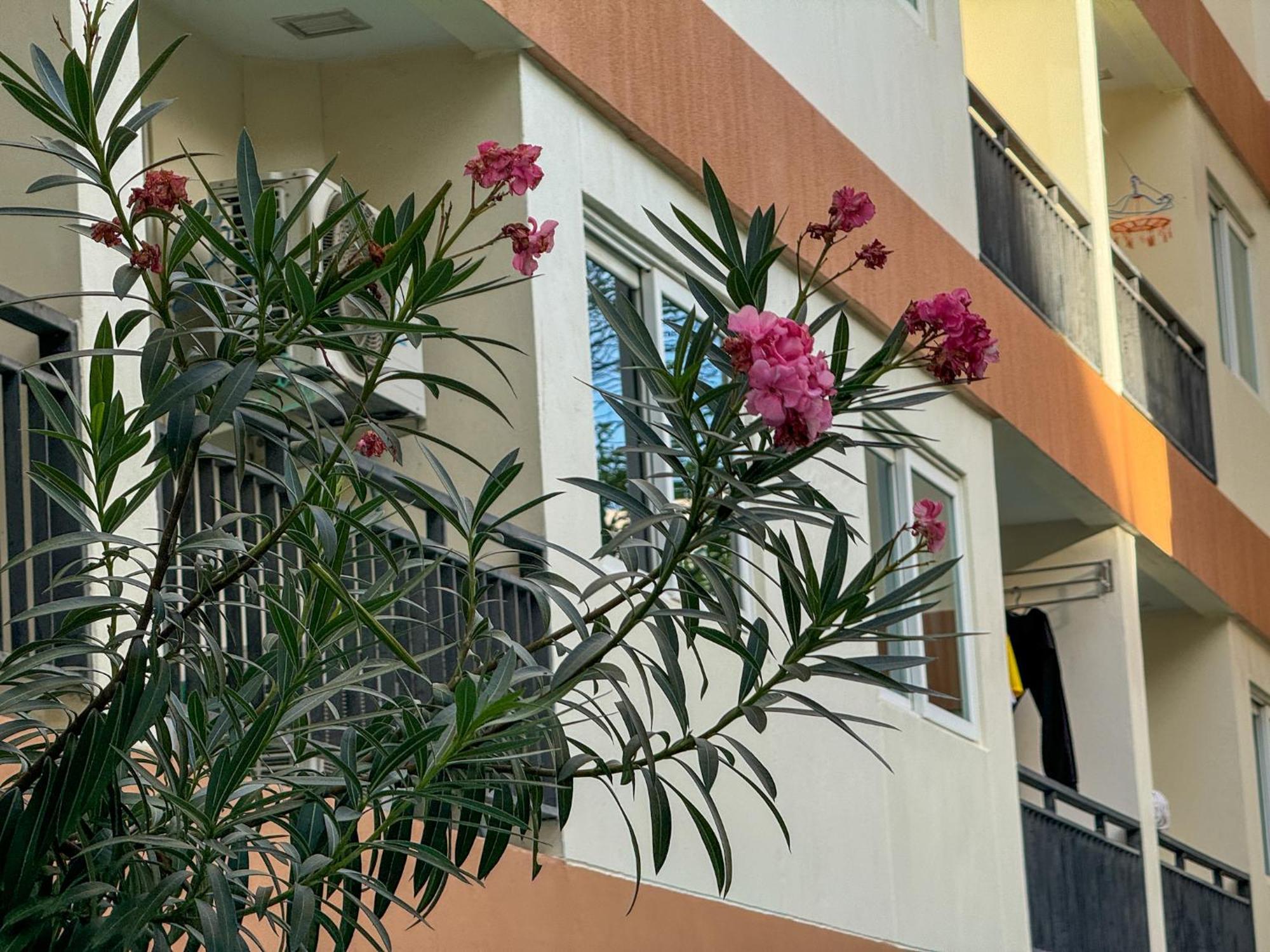 卧室直达泳池 全网最低价 到中天海滩5分钟 Pantai Jomtien Luaran gambar